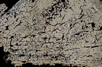 High Resolution Decal Cracked Texture 0006
